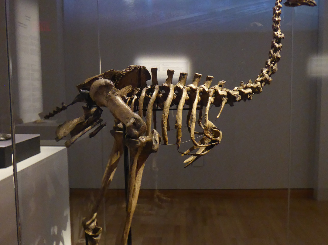 Musee de la Civilisation-魁北克市必去景点