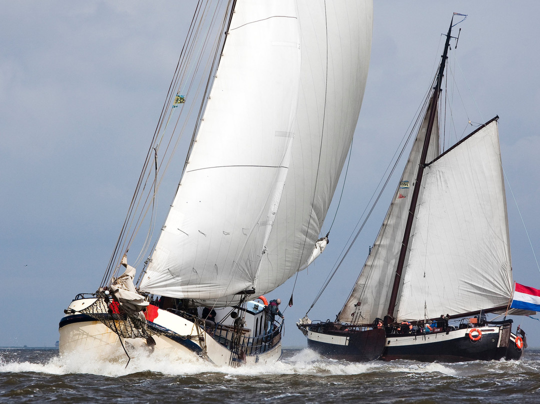 Historische Zeilvaart Harlingen景点图片