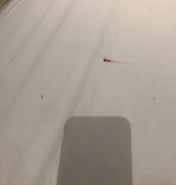 彼欧阔沃酒店主图