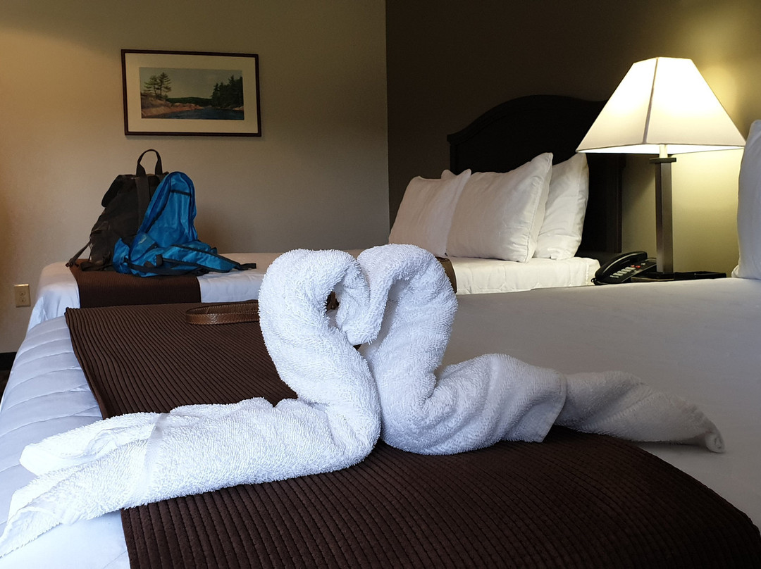 Midland Inn & Suites主图