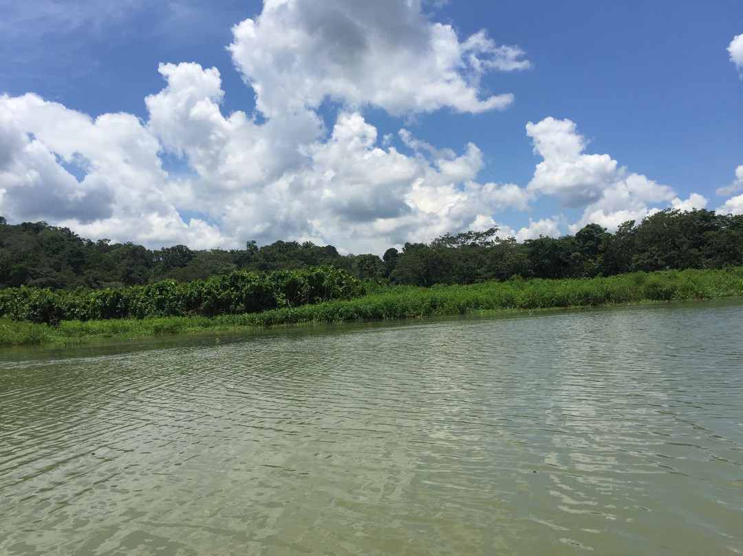 Gamboa Rainforest Resort Chagres River Boat Tour景点图片