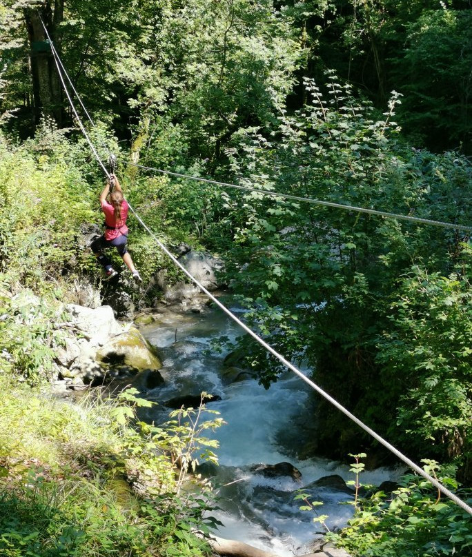 Léman Forest景点图片