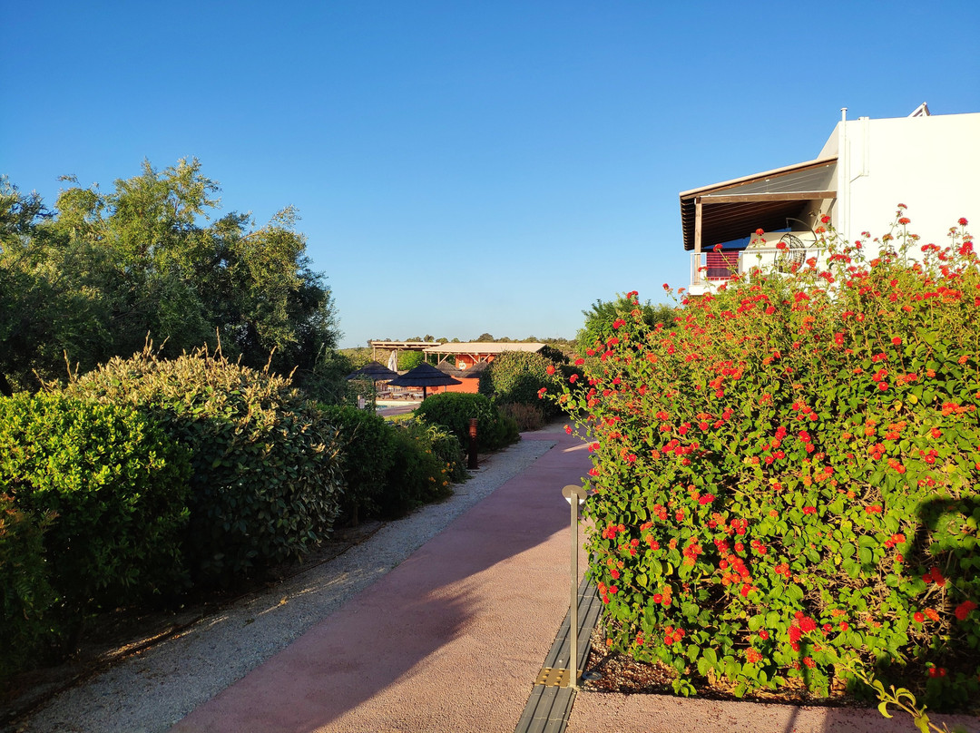 Hotel Rural Quinta do Marco主图