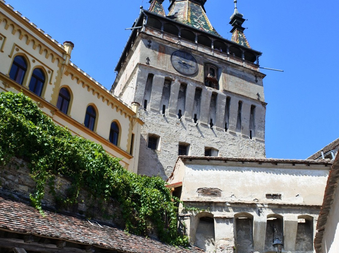 The Land of Dracula-布拉索夫必去景点