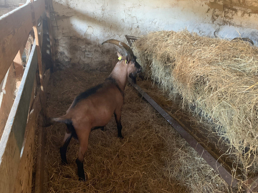 Ferme du Cabri au Lait-Sepmes必去景点