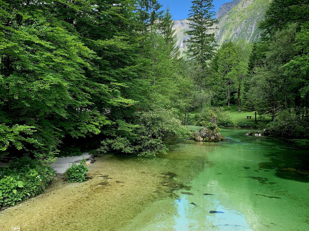 Hike&Bike Slovenia-博希尼湖必去景点