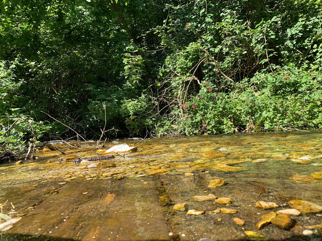 Riserva Naturale Regionale Monte Genzana e Alto Gizio-Pettorano sul Gizio必去景点