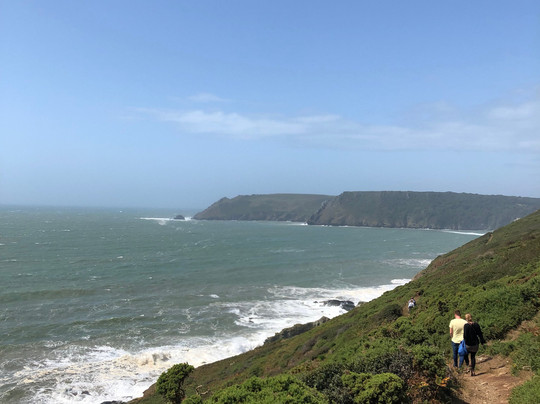 The Whitehouse主图