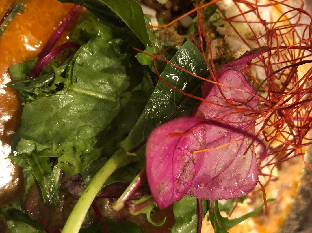 華や