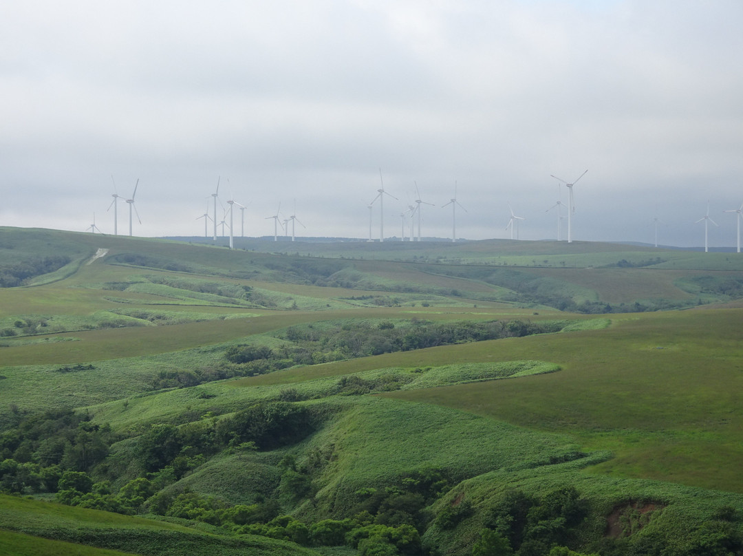 Soya Hill Periglacial Landforms景点图片
