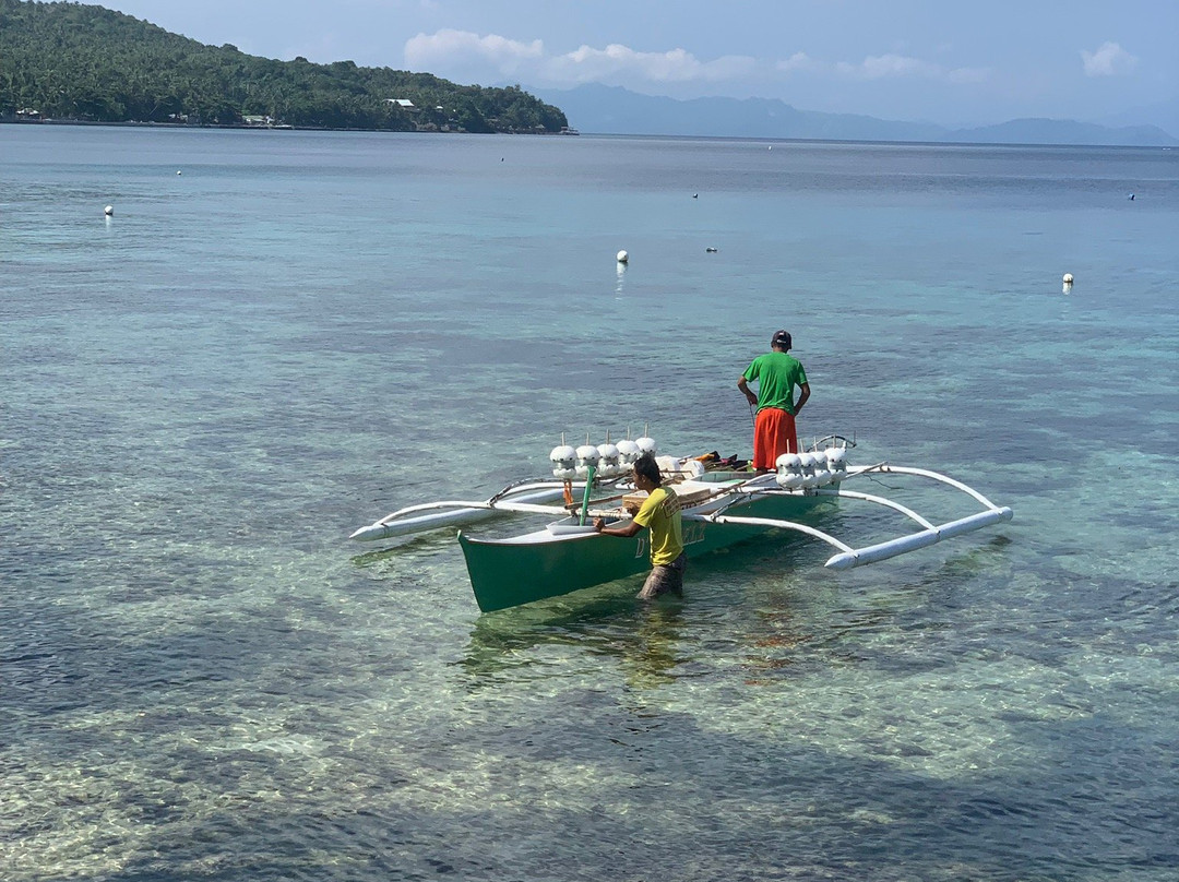 JD Beach Front Hotel主图