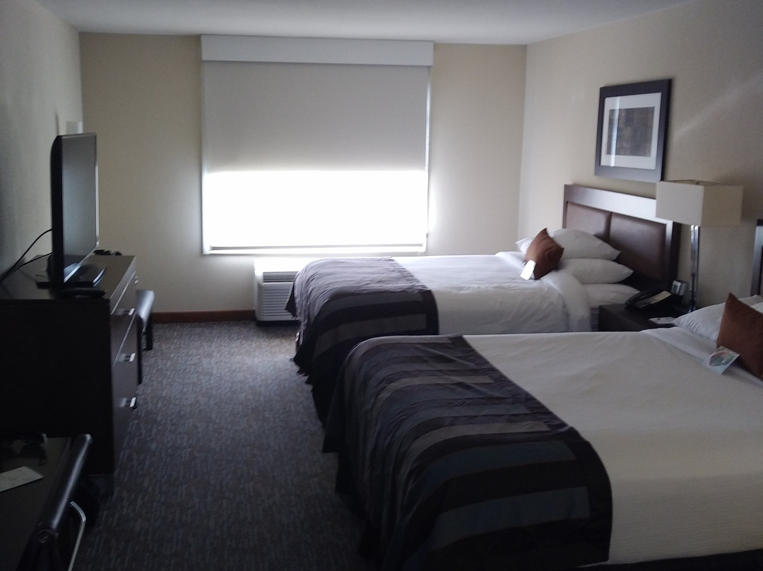 Wingate by Wyndham Chattanooga主图