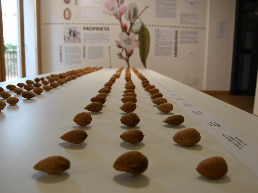 Marzipan - Museo della Mandorla Siciliana景点图片