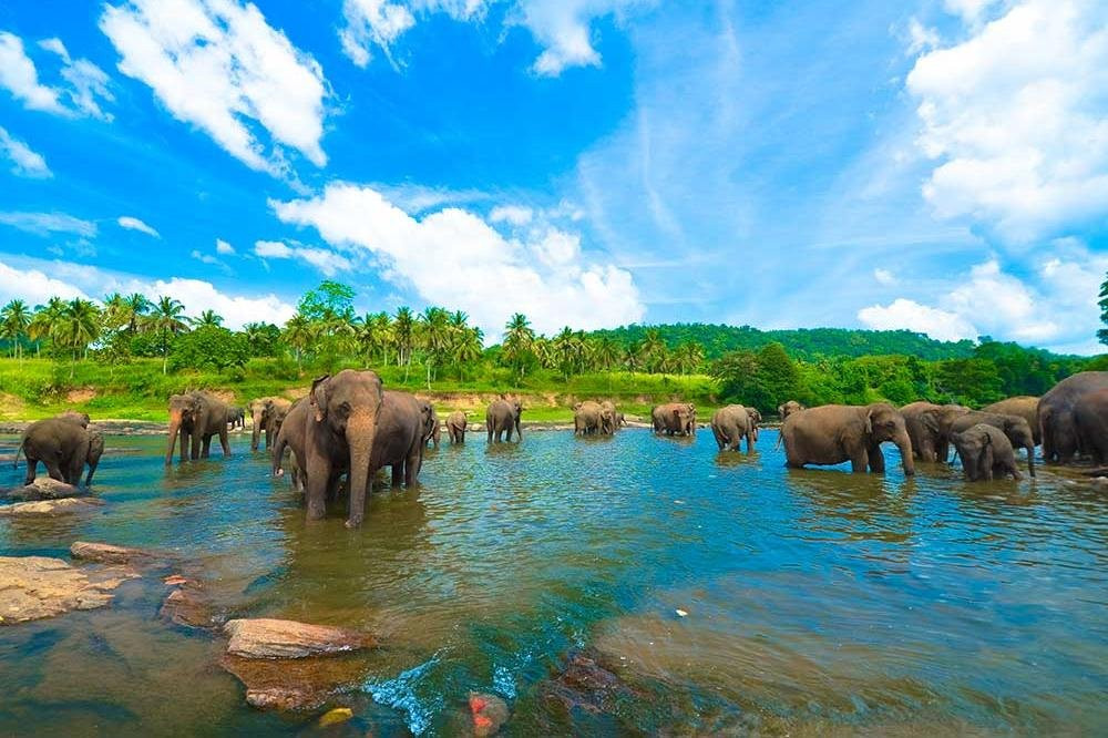 Visit So Sri Lanka 🇱🇰景点图片