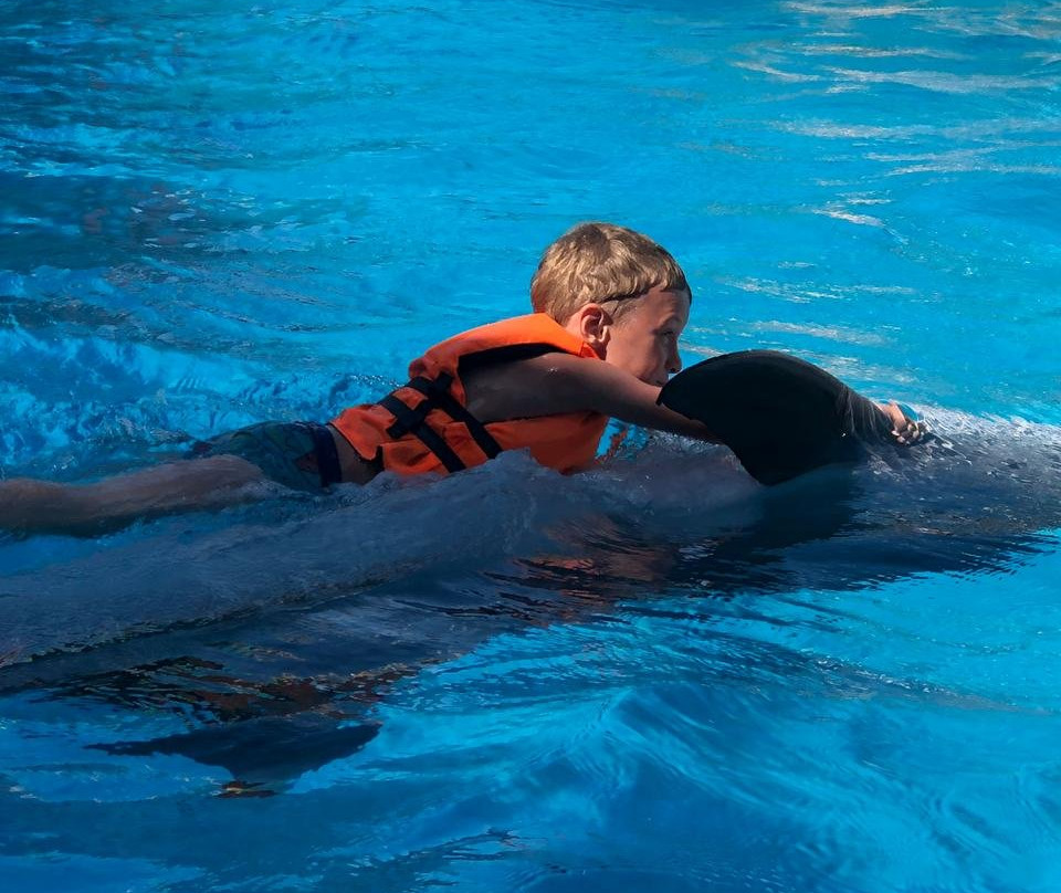 Dolphinarium-Olenevka必去景点