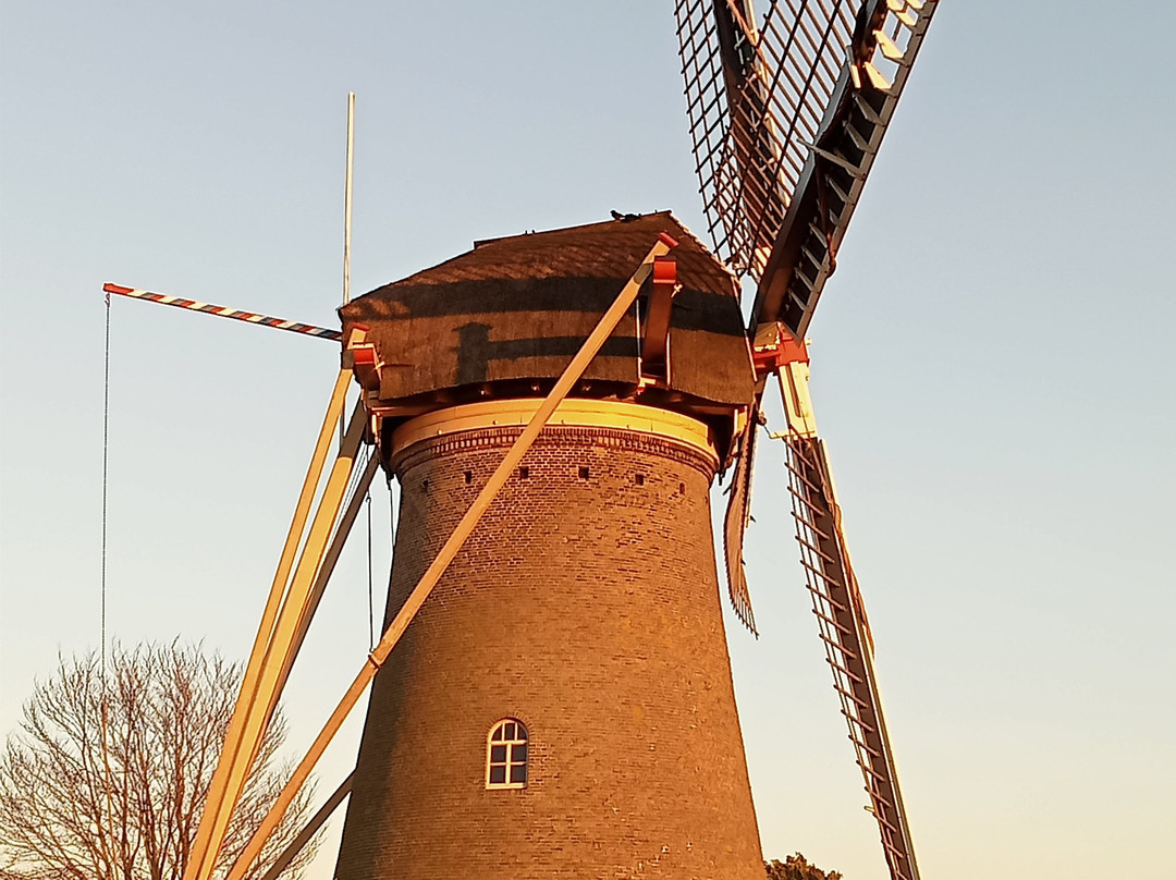 Molen Landzigt景点图片