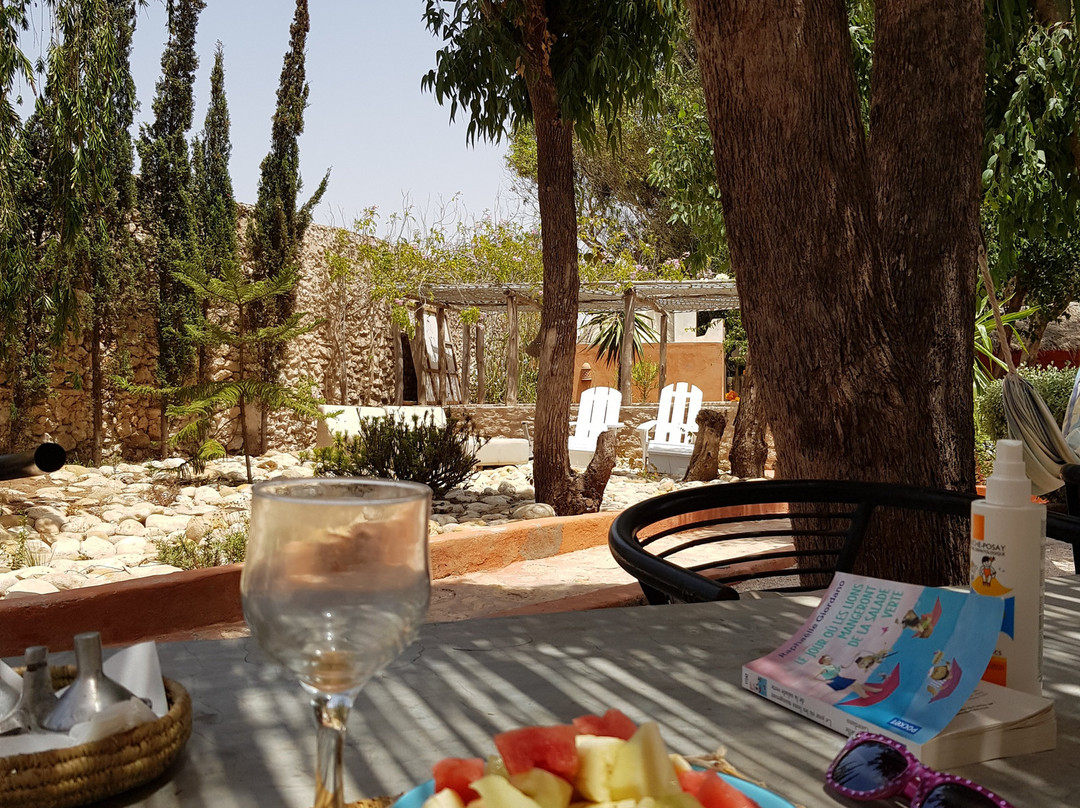 Riad Baoussala主图