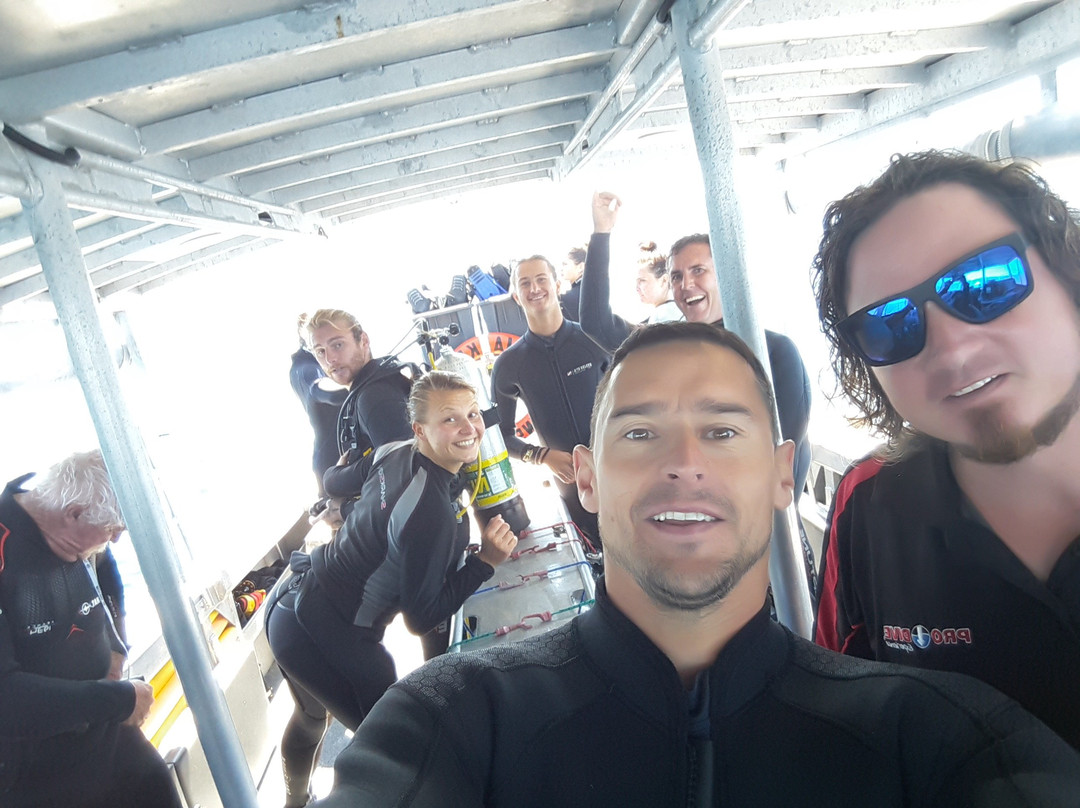 Pro Dive Magnetic Island-Nelly Bay必去景点