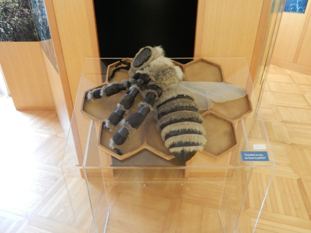 Beekeeping Museum (Cebelarski Muzej)景点图片