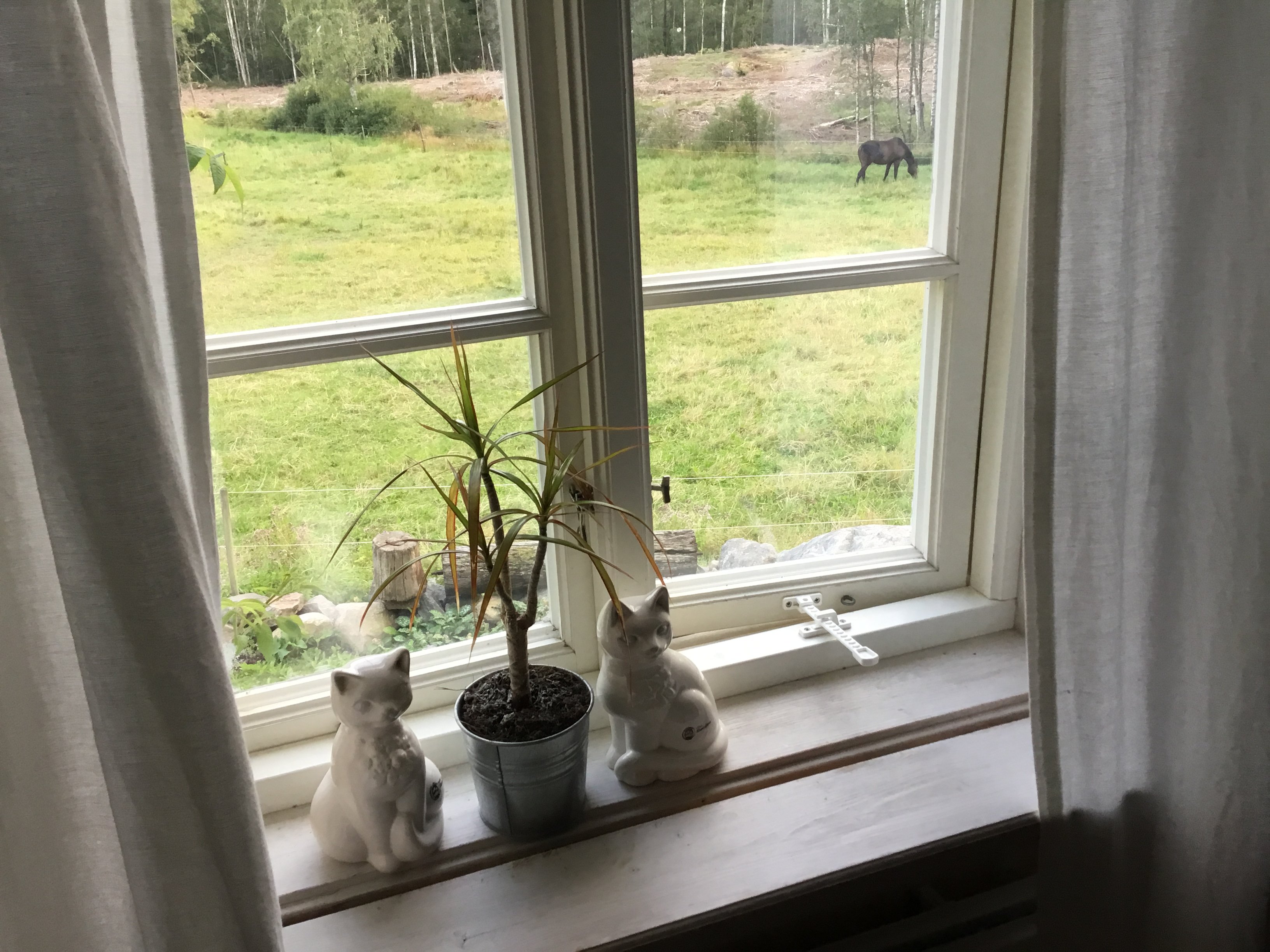 Finas Torpgard Bed and Breakfast-浴室