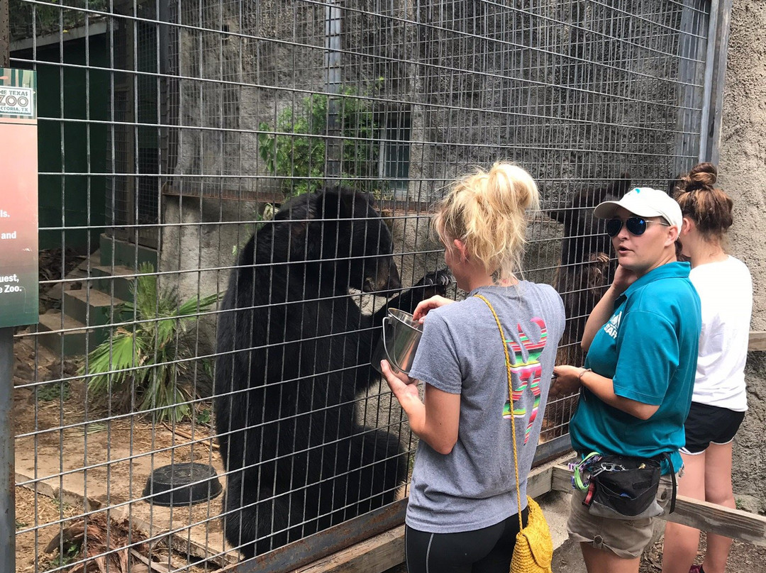 The Texas Zoo-维多利亚必去景点