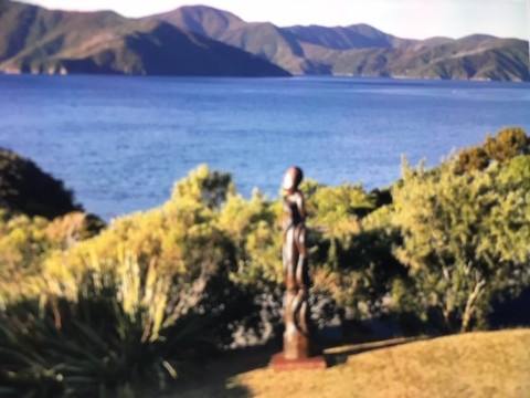 Karaka Point Walk-皮克顿必去景点