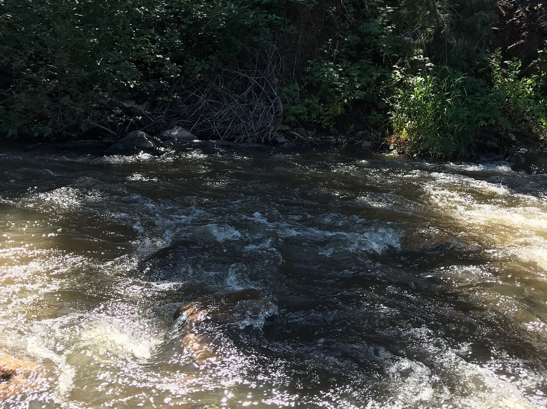 Lair O' the Bear Park-Morrison必去景点