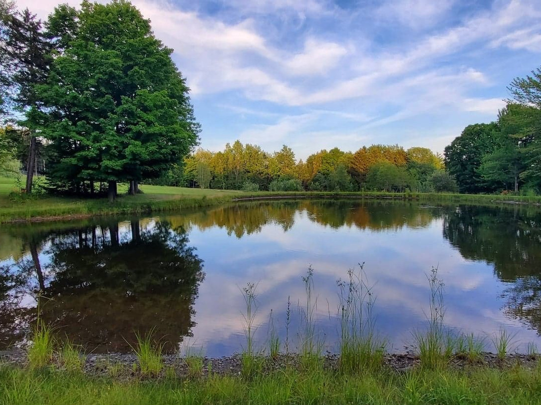 Au gite des 4 Lacs主图