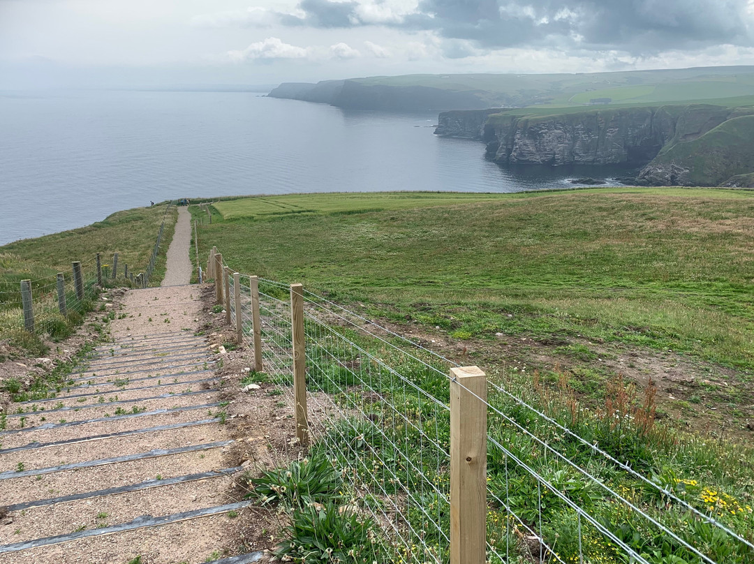 RSPB Troup Head Nature Reserve-Macduff必去景点