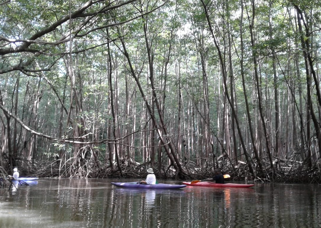 Castillo Divertido主图