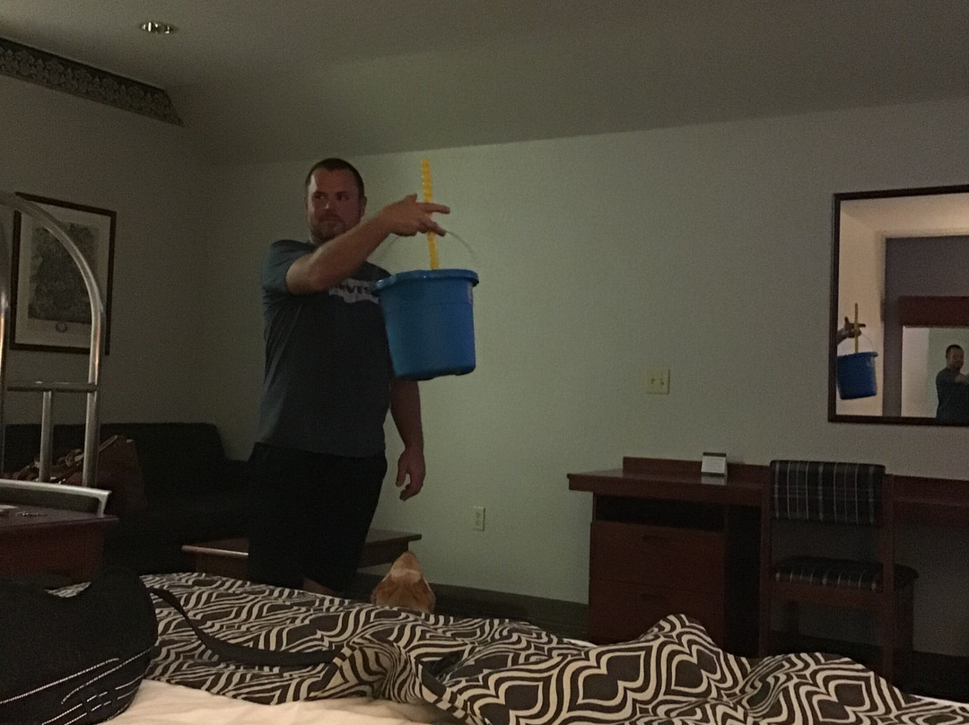 Microtel Inn & Suites by Wyndham Urbandale/Des Moines主图