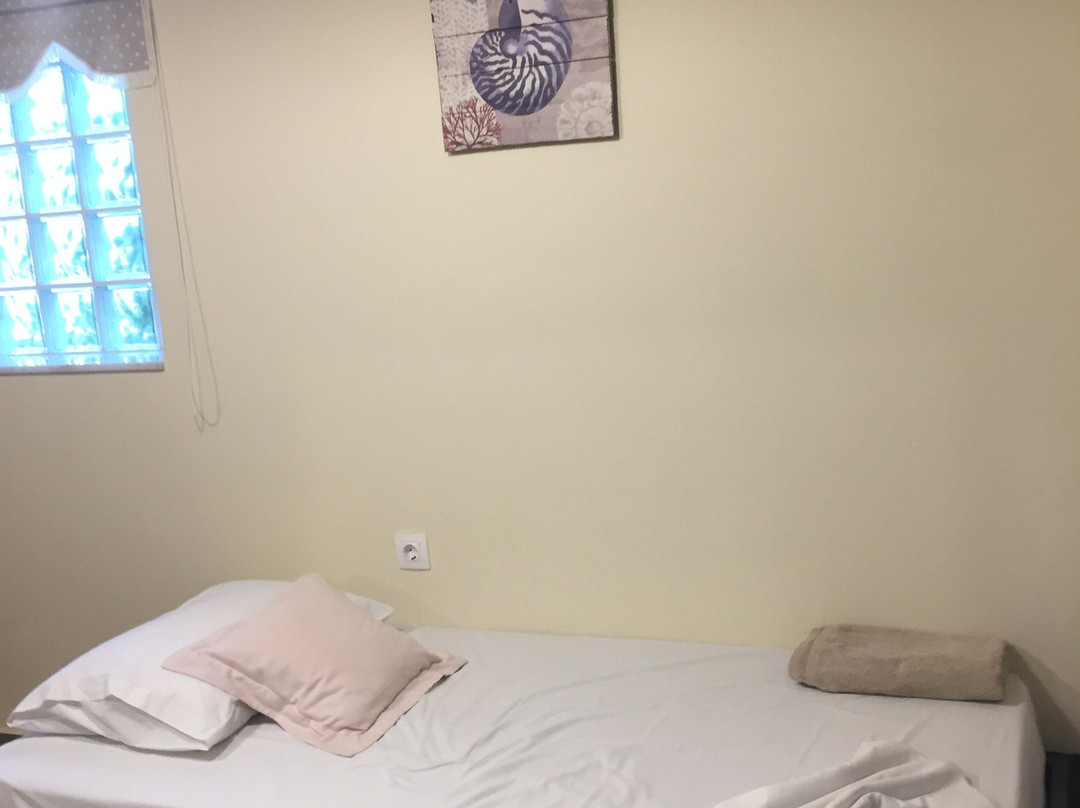 Alpha Stegna Sun主图