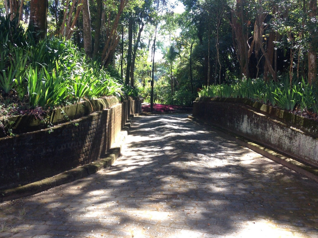 Mariano Procopio Museum-Juiz de Fora必去景点