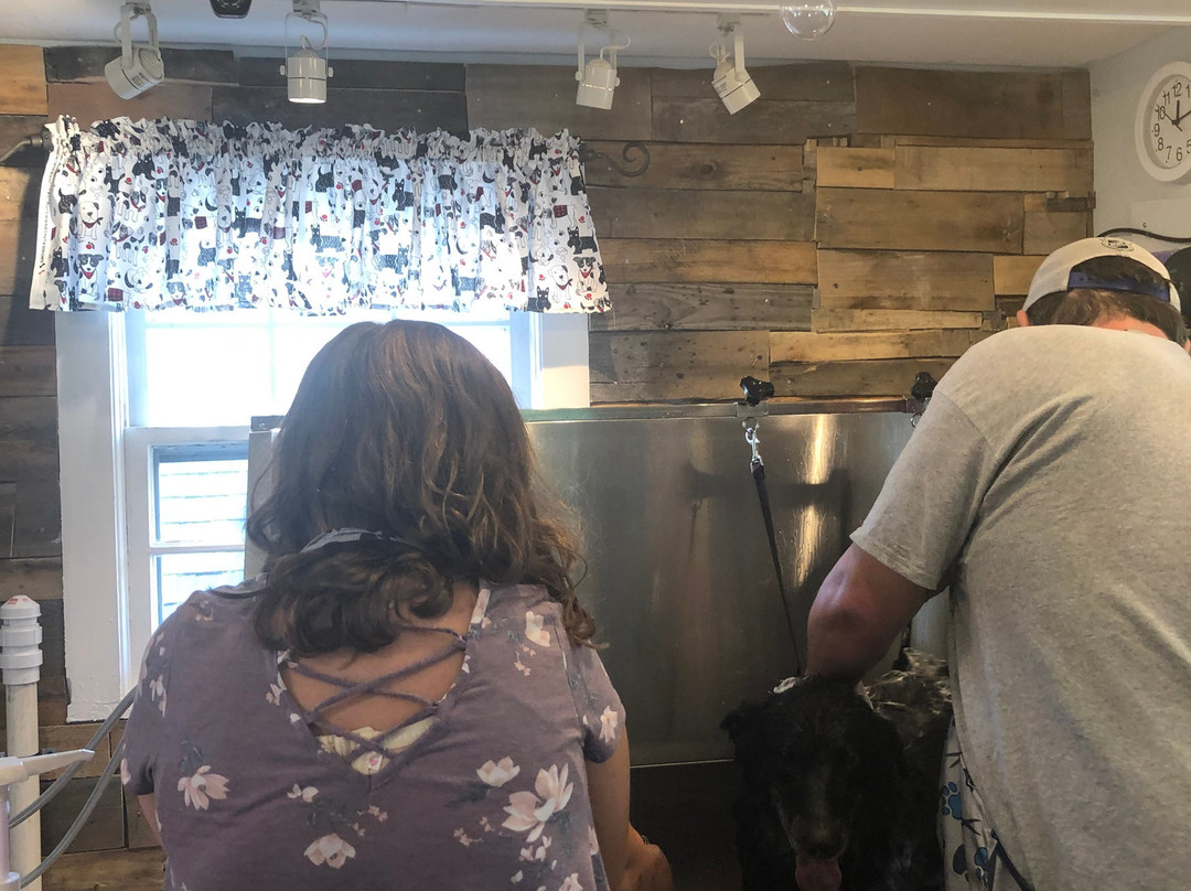 WaggMore Pet Boutique & Bakery Dog Friendly-Sparta必去景点