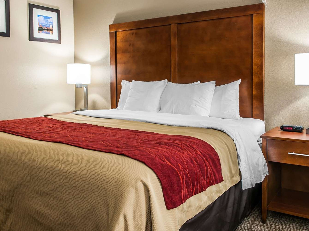 Comfort Inn Airport主图