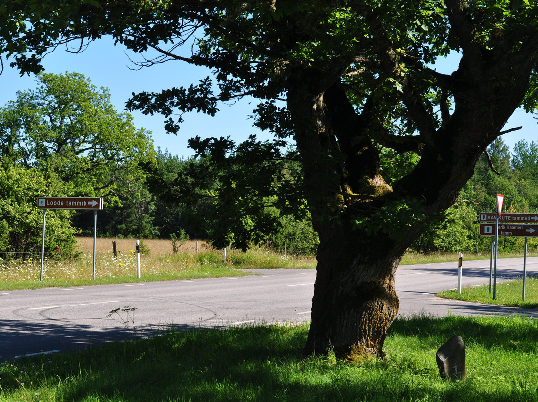 Loode Oak Forest-Lahekula必去景点