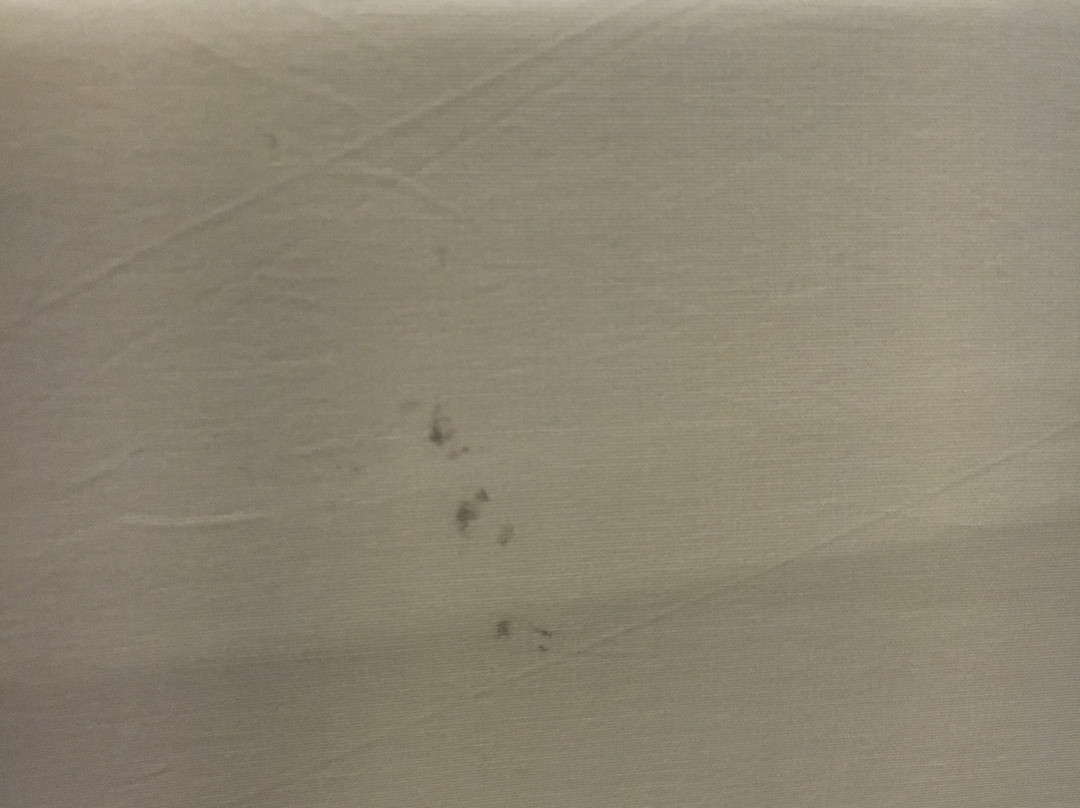 Laramie Valley Inn主图