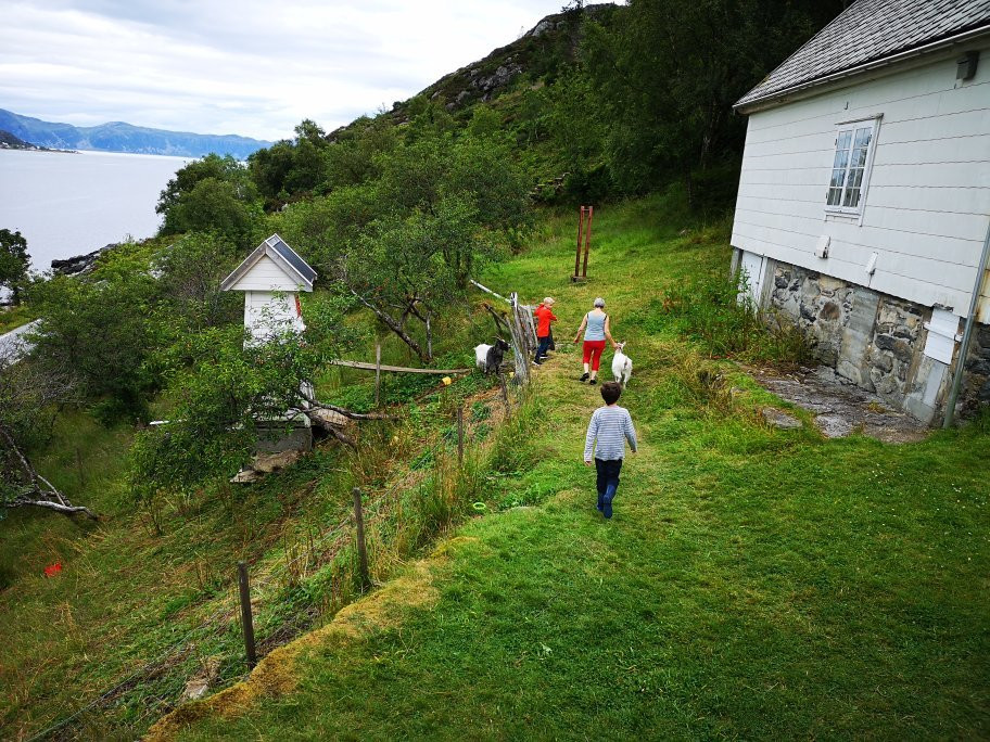 Ulvesund Fyr主图