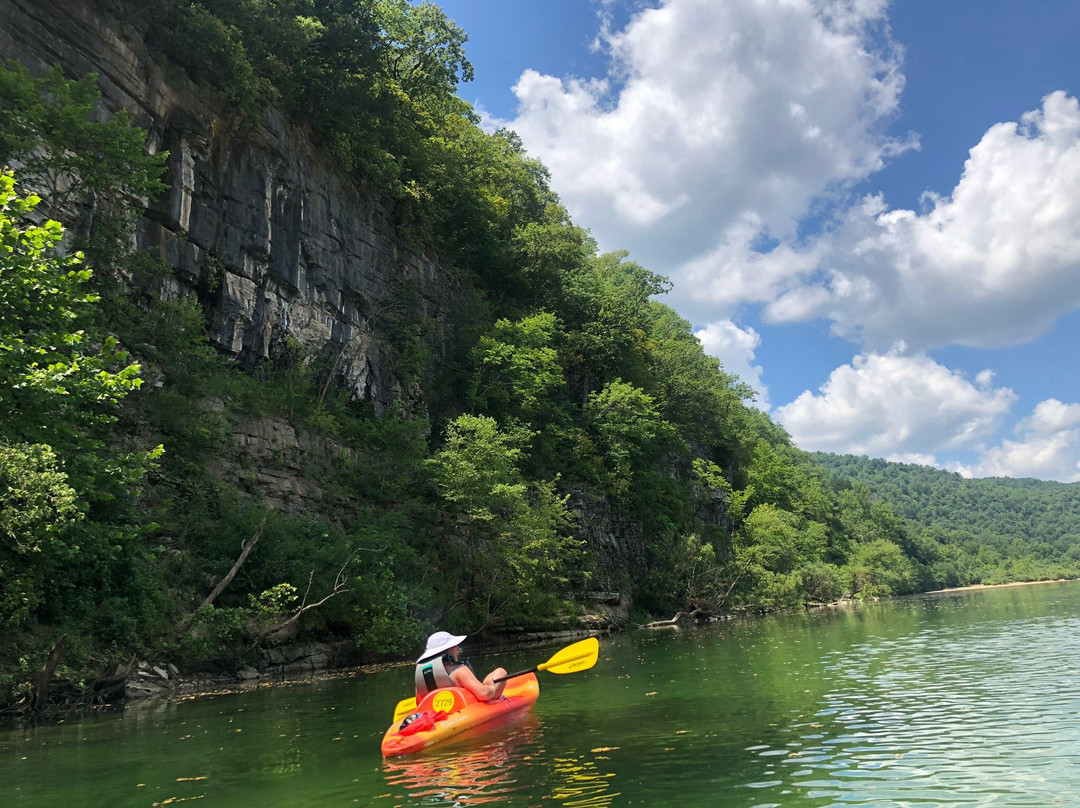 Wild Bill's Outfitter-Yellville必去景点