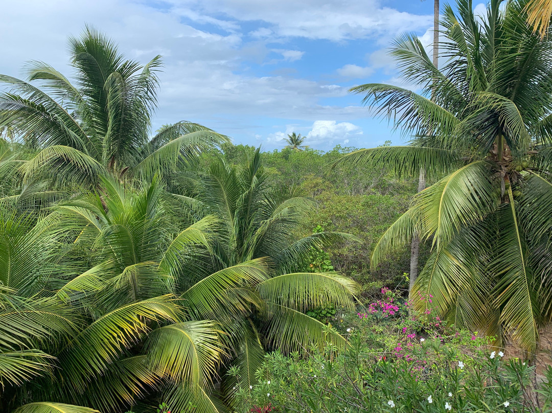 Ecolodge Batel Pousada主图