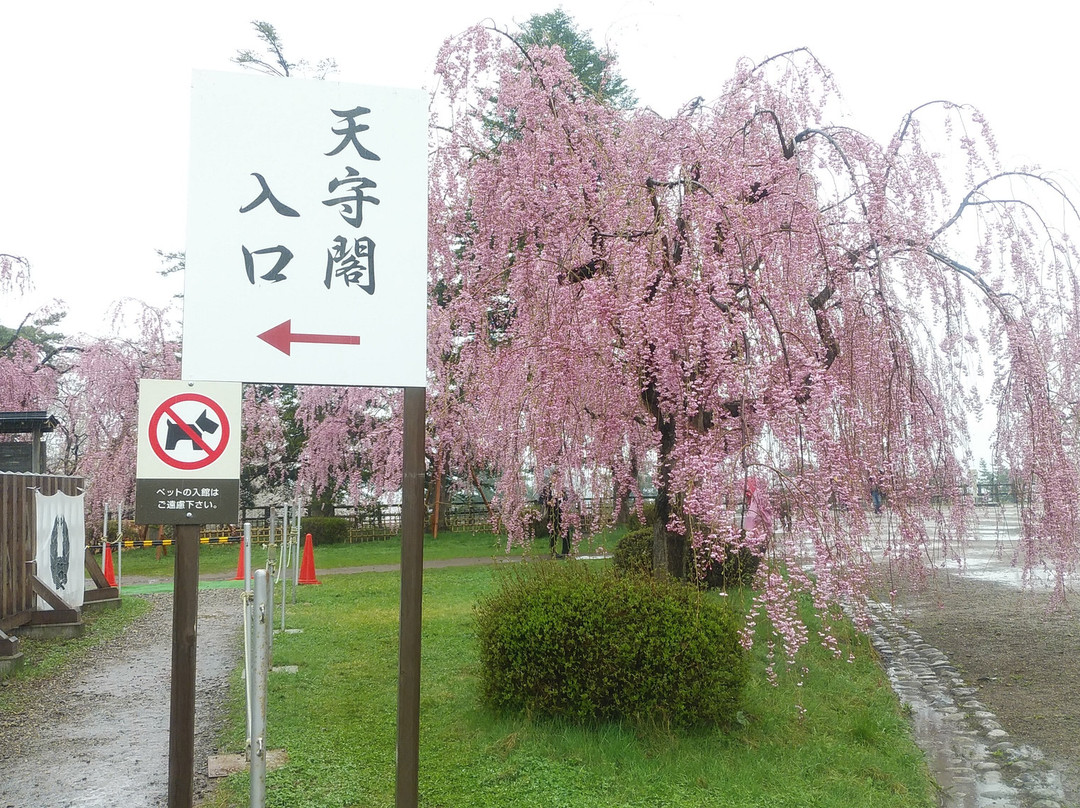 Hirosaki Cherry Blossom Festival-弘前市必去景点
