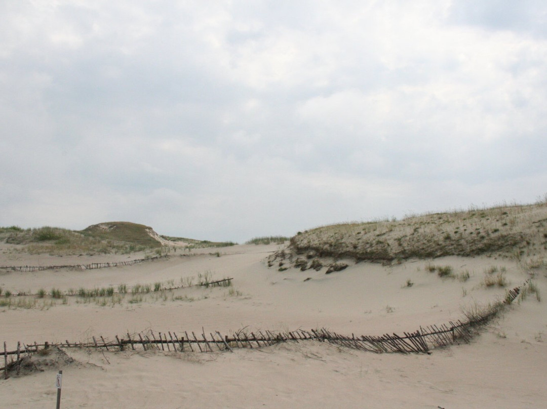 The Dead Dunes景点图片