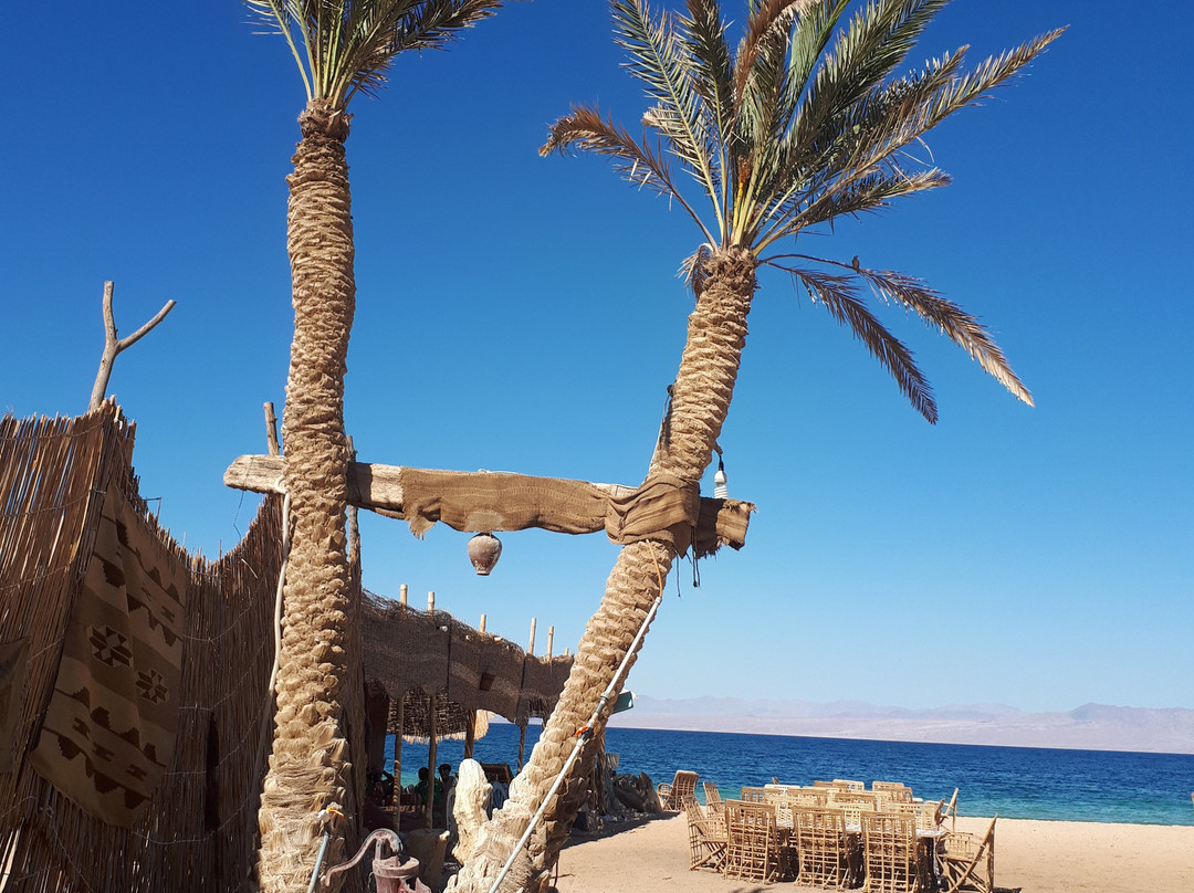 Habiba Beach Lodge主图