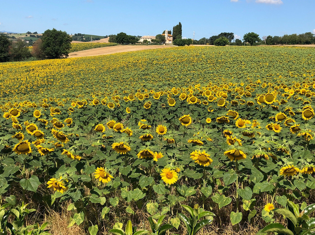 Villa & Resort Trecastelli主图