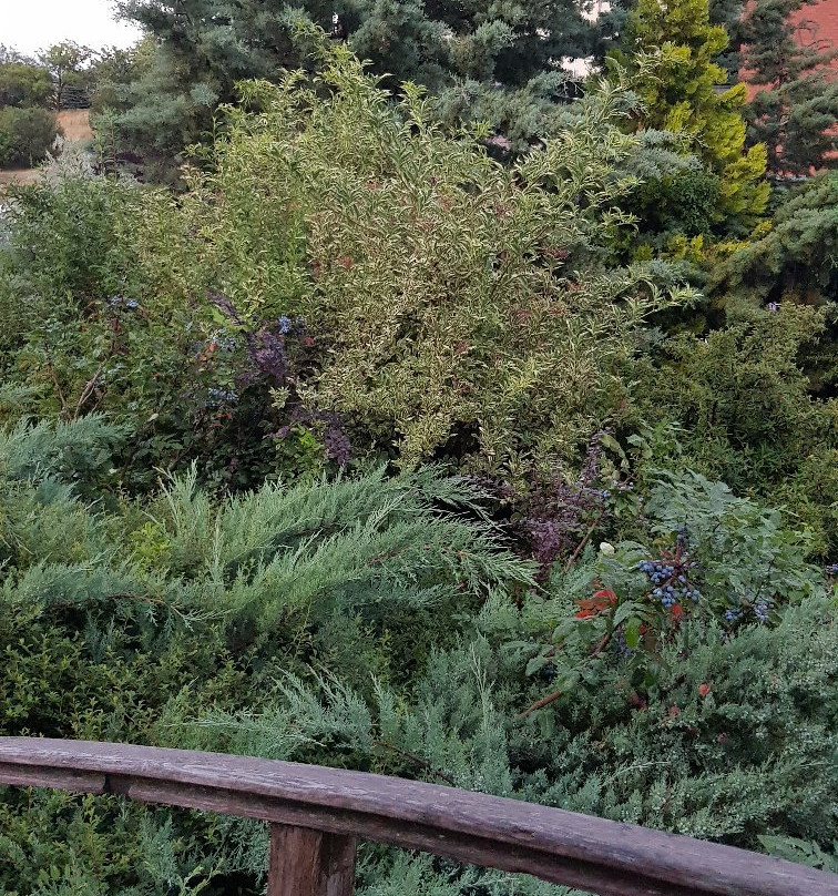 Beytepe Alisveris Merkezi-安卡拉必去景点