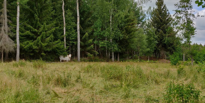 Javeroleden-卡尔斯塔德必去景点