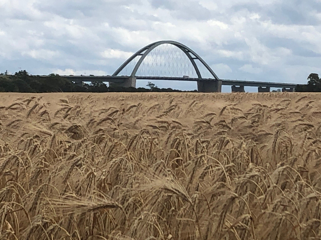 Aparthotel Museumshof主图