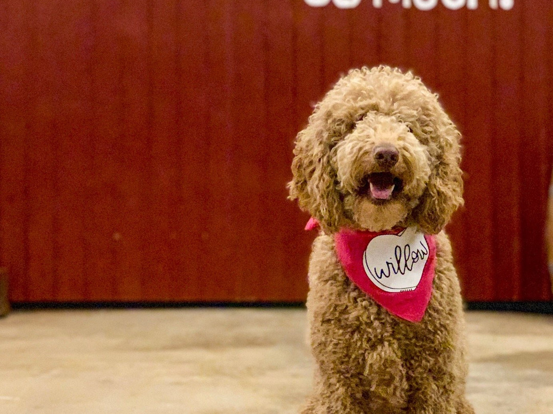 Skies Over Texas Winery-Early必去景点