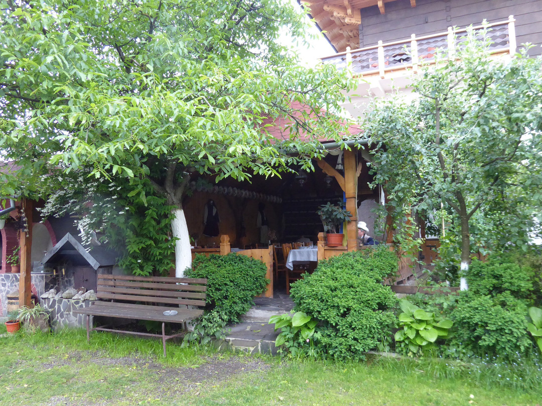 Guesthouse Ileana主图
