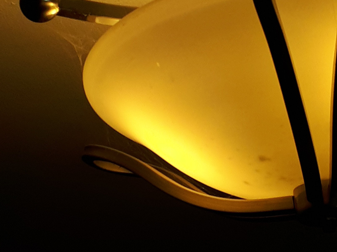 Silver Birch Motel主图